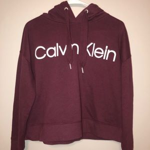 Calvin Klein Cropped Hoodie